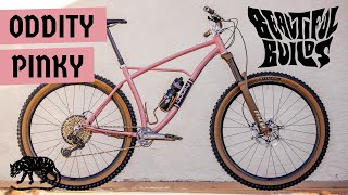 Oddity Cycles Pinky 29er Snow Day ｜ Beautiful Builds ｜ The Radavist [upl. by Seko]