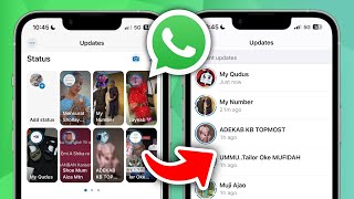 How to Change WhatsApp Status Layout 2024 [upl. by Janel811]