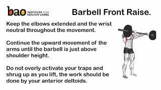 exercise Barbell front raise [upl. by Avlem]