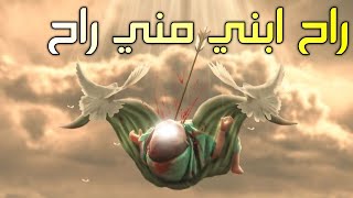 لطمية تفجع الكلب  راح ابني مني راح  صاير وذر حدر الرماح  ملا عباس الزبيدي ١٤٤٦هـ [upl. by Naahsar]