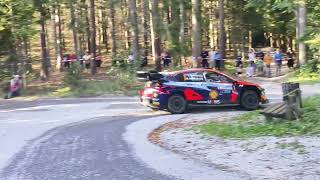 WRC CENTRAL EUROPEAN RALLYTEST Teemu Suninen Hyundai Bucklige Welt Rallye [upl. by Gillian725]