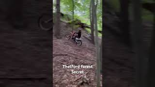 Thetford forest secret [upl. by Farmann829]