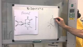 Transition Elements 4  Complex Ions [upl. by Bud]