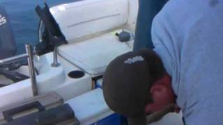 Spring Salmon Fishing Rivers Inlet fishing BC West Coast of Canada [upl. by Meekar]