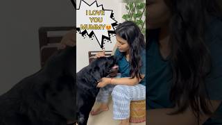 Lucky Ki Mummy Lai Diwali Gift doglover lucky [upl. by Hilleary]