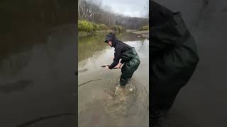 My first solo steelhead on my fly rod Not the biggest but still very happy steelhead lakeerie [upl. by Nyloj]