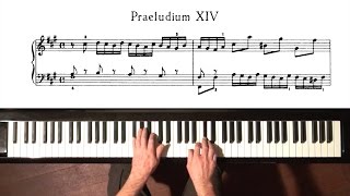 Bach Prelude and Fugue No14 Well Tempered Clavier Book 1 with Harmonic Pedal [upl. by Ahsaetal]