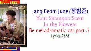 Be melodramatic ost part 3  Jang Beom June 장범준 – Your Shampoo Scent In the Flowers Lyrics 가사 [upl. by Sudaorb]