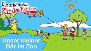 Unser kleiner Bär im Zoo Kinderlied 🐻 Bewegungslieder für Kinder • Kindergartenlieder [upl. by Ecidnacal]