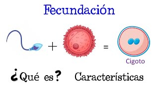 💥 ¿Qué es la Fecundación 💥 Fácil y Rápido  BIOLOGÍA [upl. by Dawn]