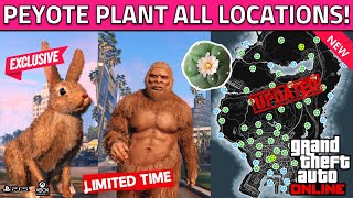 NEW Peyote Plant Locations in GTA 5 Online How To Turn Into AnimalBigfoot All Peyote Plant 2023 [upl. by Aynwad]