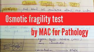 Osmotic fragility test OFT principal method clinical significancepro  pathology  MAC [upl. by Goldia16]