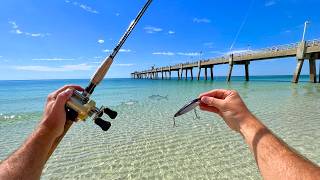 3 DAYS OF PIER FISHING MADNESS [upl. by Dranek]