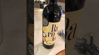 Barolo shorts king of Italian wines review [upl. by Anaerdna318]