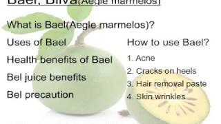 Benefits and Uses of Bilva Bael Aegle marmelos [upl. by Kcirdet]