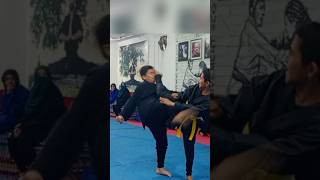 Belt test highlights Ninja belt test knocked out kicks ninjutsu samuraispirits budo teamninja [upl. by Ellie456]