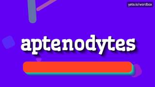 APTENODYTES  HOW TO PRONOUNCE APTENODYTES aptenodytes [upl. by Alaehs]