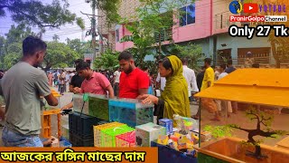 Aquarium Fish Price In katabon 2024 Aquarium Fish Price  Aquarium 😱 Aquarium Fish Price In Khulna [upl. by Eatnohs]