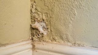 Damp proofing and wall repair you can do at home [upl. by Erodavlas]