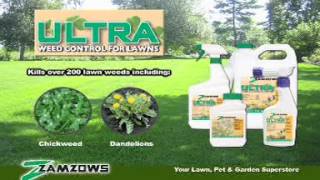 Zamzows ULTRA Broadleaf Weed Killer [upl. by Somisareg]