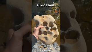 What Is This Pumice Stone  😱shorts [upl. by Esaele]