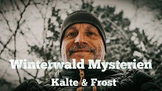 Winterwald Mysterien  Kälte und Frost [upl. by Gelasius683]