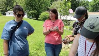 In the Field with JF Therrien American Kestrel Banding [upl. by Hamehseer745]