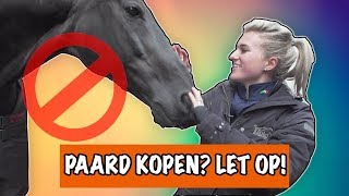 Waar moet je op letten als je een paard koopt  PaardenpraatTV [upl. by Ariam214]