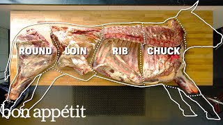 How To Butcher An Entire Cow Every Cut Of Meat Explained  Bon Appetit [upl. by Ahsenrat453]