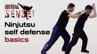 Ninjutsu self defense basics  Joseph Arlettaz  Global Combat Reaction [upl. by Baggett]