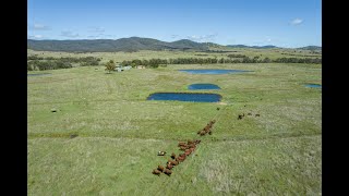 Leran McMeniman Road Ballandean [upl. by Culbertson]