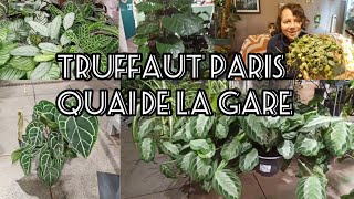 124 jardinerie tour  Truffaut Paris Quai de la gare [upl. by Calia]