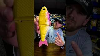 Throwback Baits Metro Glide Swimbait fall fishing challenge fishing fishingvideo bassfishing [upl. by Arni]