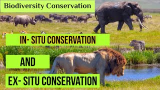 biodiversity conservation  ex situ and in situ conservation  2021 hindi [upl. by Okiruy]