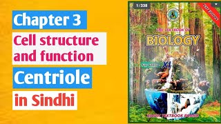 centrioles class 11 biologyChapter 3 cell structure and functionSindh board [upl. by Atselec170]