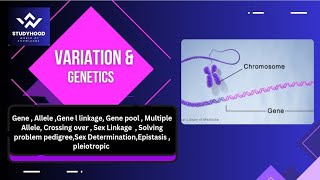 Variation amp Genetics  Gene Allele Gene linkage Multiple Allele Crossing over  All in one shot [upl. by Cayser]