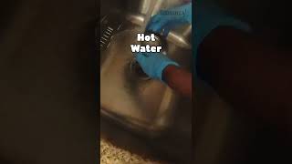 Disinfect the Sink EcoFriendlyCleaning DIYCleaning VinegarHack SinkCleaning NonToxicCleaning [upl. by Eriuqs]