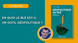 En quoi le blé estil un outil géopolitique [upl. by Egni948]