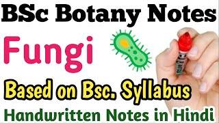 Fungi Bsc Botany Notes Diversity of Microbes and cryptogams in hindi [upl. by Tasiana]