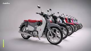 Which Color Do You Like Cub Pro 125 Motorcycle kamax supercub underbone 125cc moped [upl. by Sacram]