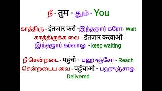 one word you  நீ  used simple Sentences in Hindi through tamil [upl. by Lorac460]