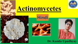 Actinomycetes Actinomycosis Microbiology pathogen symptoms diagnosis Actinobacteria Streptom [upl. by Sungam]