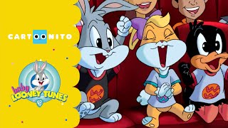 Baby Looney Tunes  The Musical Show  Cartoonito [upl. by Dachy]