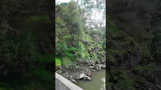 Warrandyte State Park  VIC Australia park lake river camping hike asmr relax outback [upl. by Rosane]