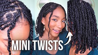 HOW TO do MINI TWISTS on natural hair protectivestyles  JaiChanellie [upl. by Eneleh738]