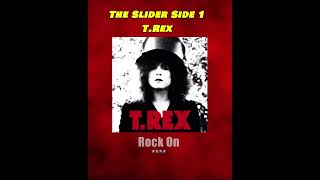 Rank The Tracks The Slider Side 1 TRex [upl. by Rimidalv]