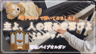 【電子ピアノ】主よ、人の望みの喜びよJS バッハ [upl. by Bruell499]