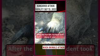 Australias First FATAL Kangaroo Attack in 86 Years [upl. by Stepha]