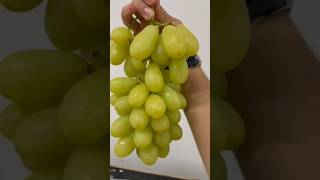 Great Harvest  XL Grapes [upl. by Einnov]