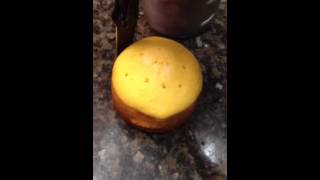 dry baking corn bread with alcohol stove [upl. by Edla64]